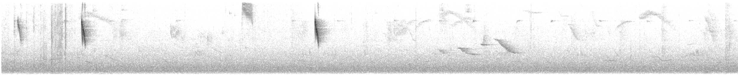 Lesser Violetear - ML630470305