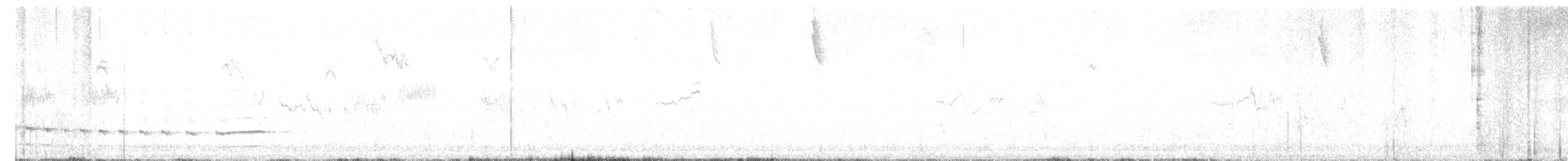 chřástal karolínský - ML630473875