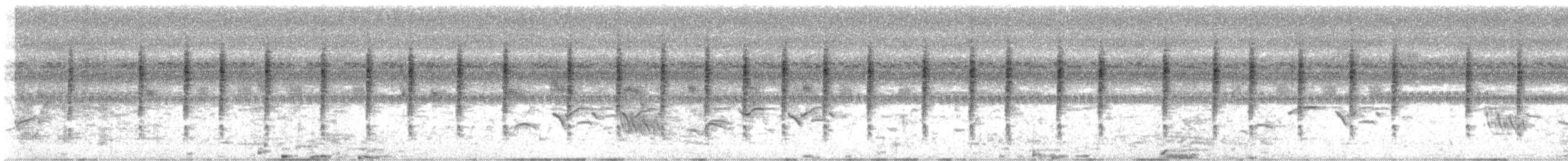Lanceolated Warbler - ML630480172