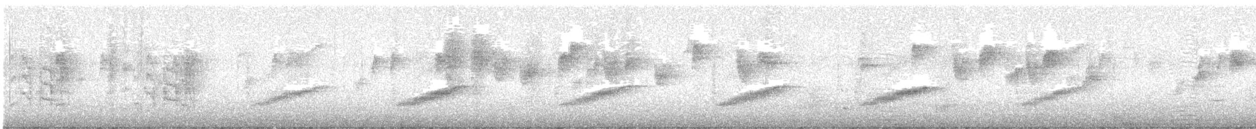 オーストラリアメンガタカササギビタキ - ML630480229