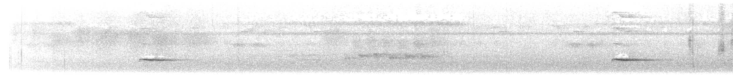 シロボシショウビン - ML630480882