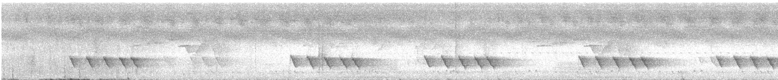 Allotrie siamoise (annamensis) - ML630481061