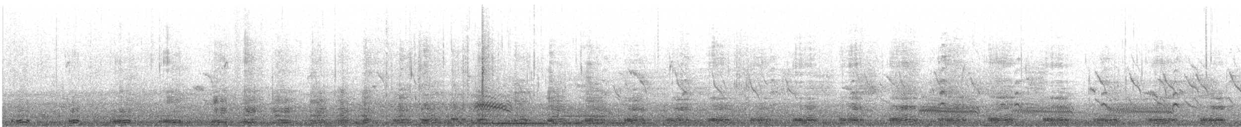 קורמורן גדול - ML630486046