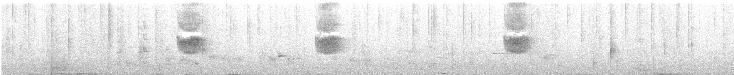 White-crowned Forktail - ML630486308