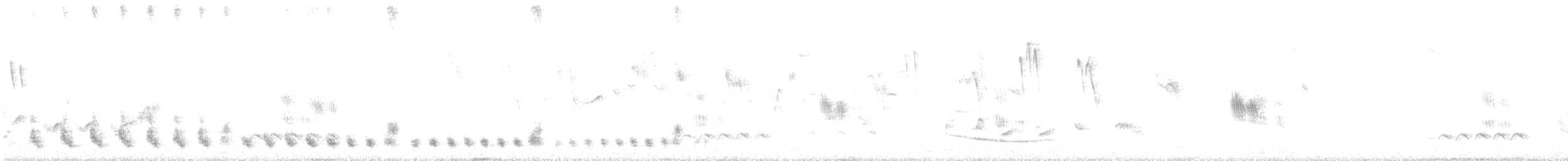 コミミグロカッコウ - ML630491059
