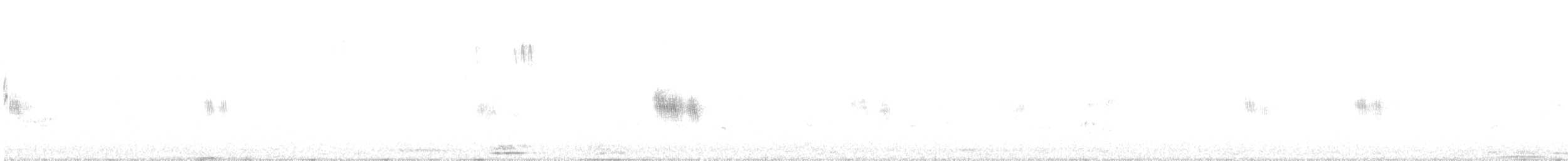 コミミグロカッコウ - ML630491060