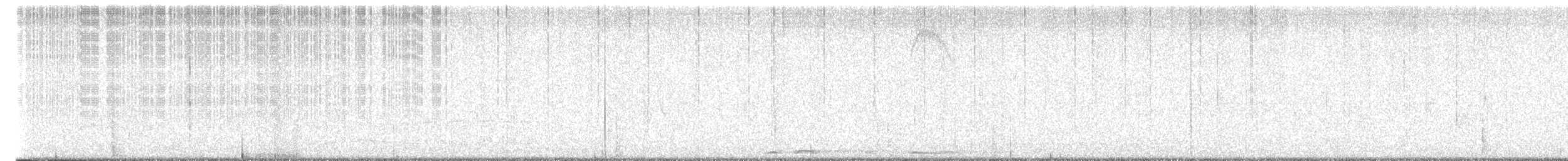 White-winged Dove - ML630496201
