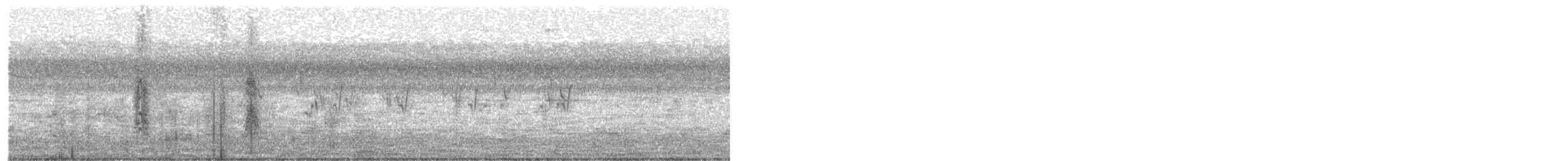 Pin-tailed Snipe - ML630498407