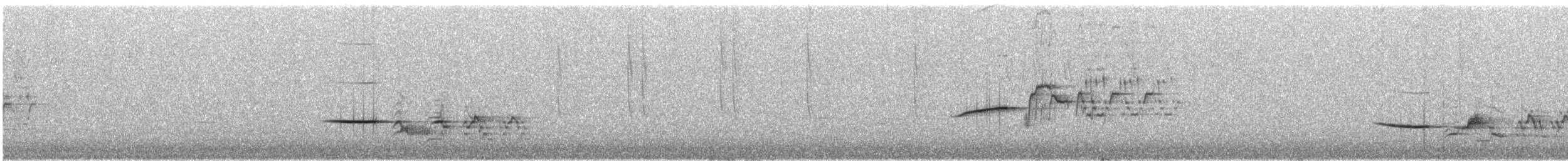 Дрізд-короткодзьоб плямистоволий - ML63050021