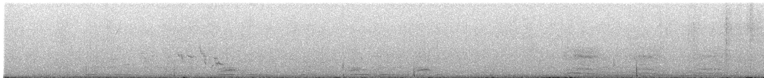 raven sp. - ML630500545
