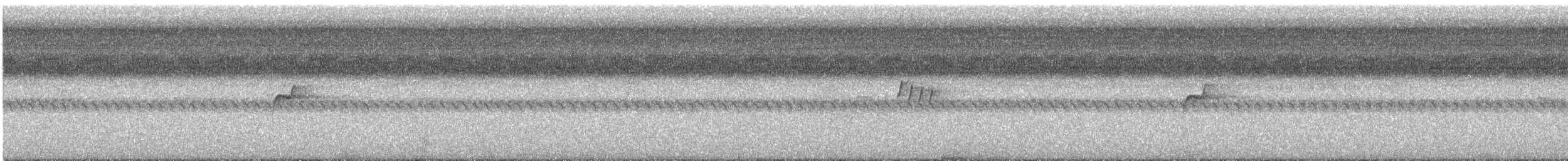 Moucherolle de Bonaparte - ML630512341