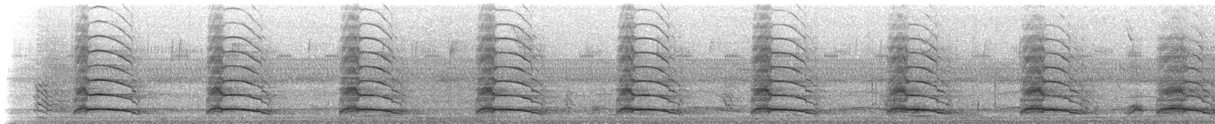 Limpkin - ML630515464