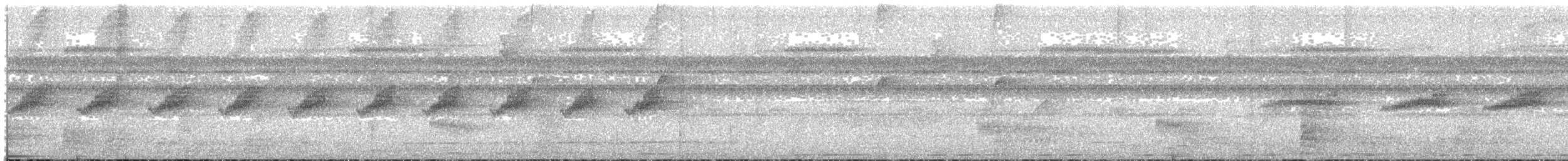 Plain-throated Antwren - ML630516948