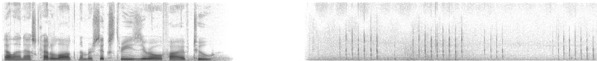 Дятел-смоктун білочеревий - ML63052