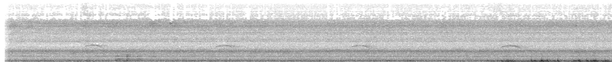 Mistletoe Tyrannulet - ML630524429