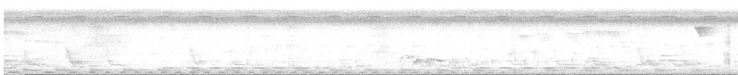 Blue-spotted Wood-Dove - ML630526613