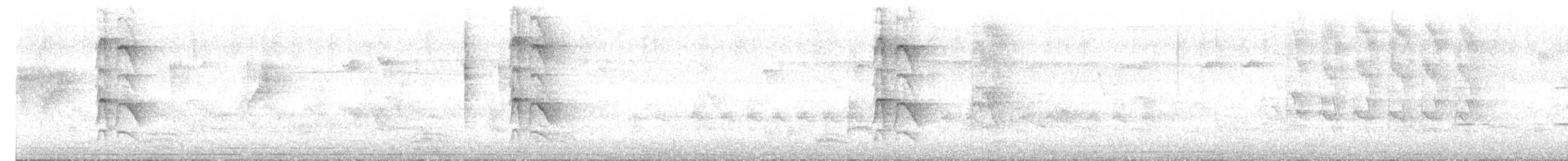 drongo šedobřichý - ML630529271