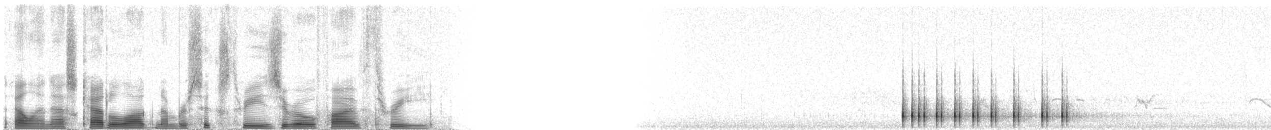 Дятел-смоктун білочеревий - ML63053