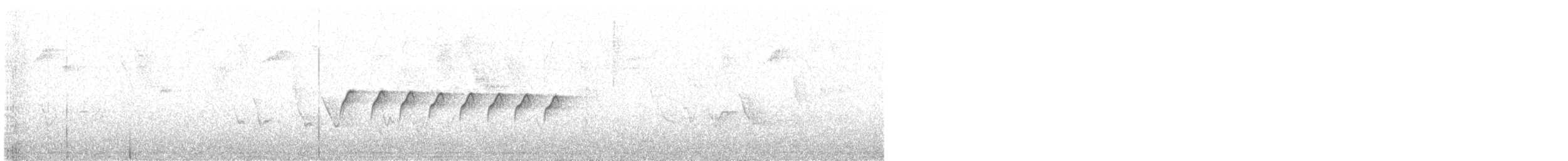 Tropical Gnatcatcher - ML630536443