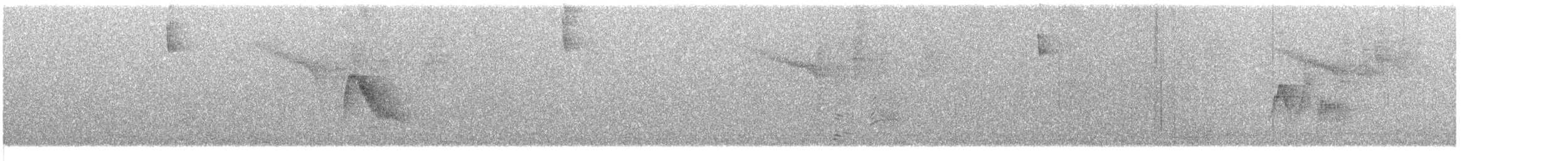 Caribbean Elaenia - ML630539444