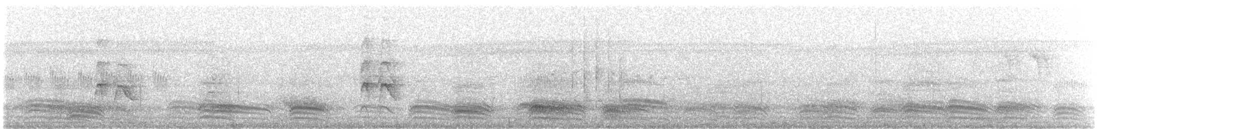 Black Drongo - ML630544730