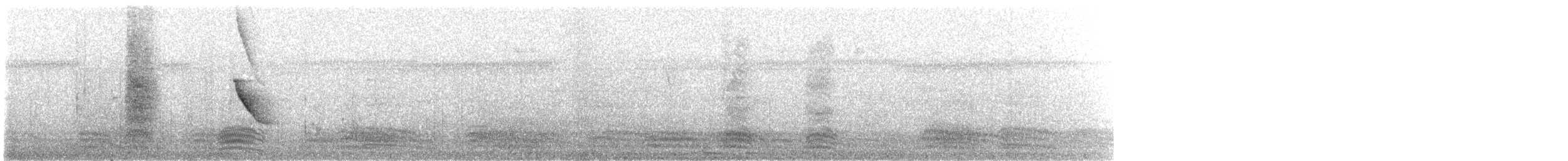 Black Drongo - ML630544731