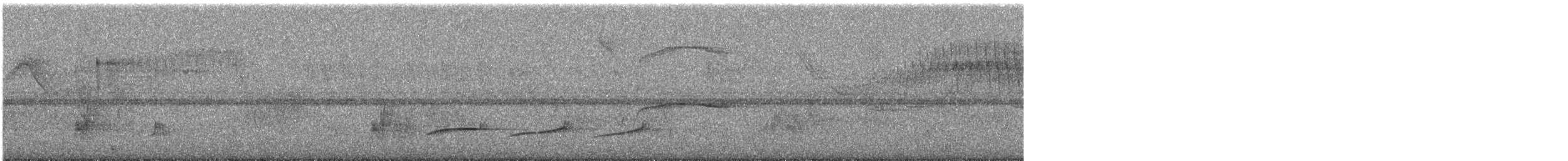 Planalto Tyrannulet - ML630544755