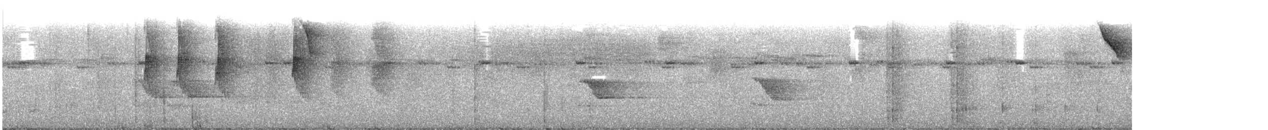 Colibri à bec noir - ML630547026