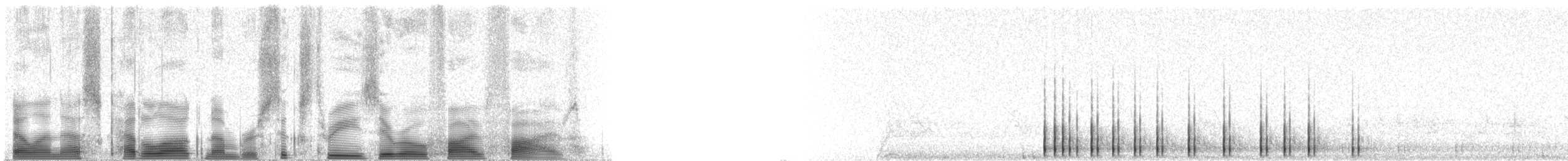 Дятел-смоктун білочеревий - ML63055