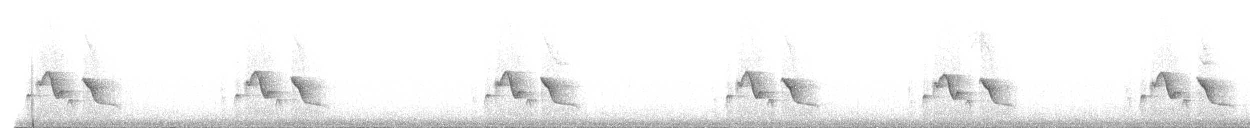 Puerto Rican Vireo - ML630559325