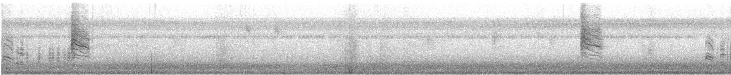 White-browed Gnatcatcher - ML630564454