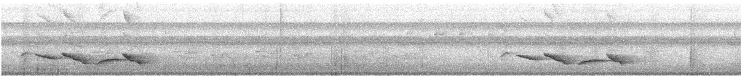 Nava's Wren - ML630564565