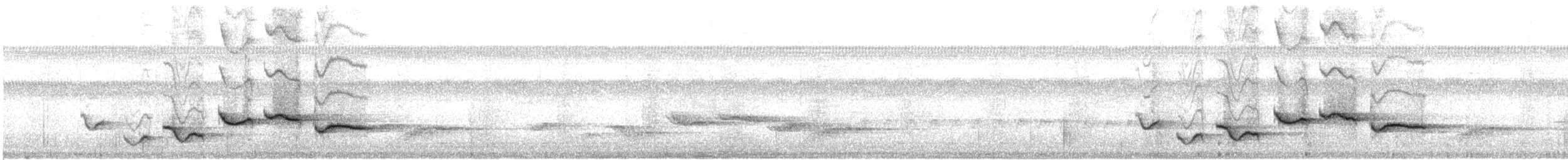 Nava's Wren - ML630564605