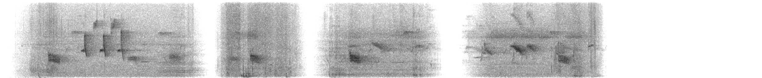 Long-tailed Triller - ML630567186