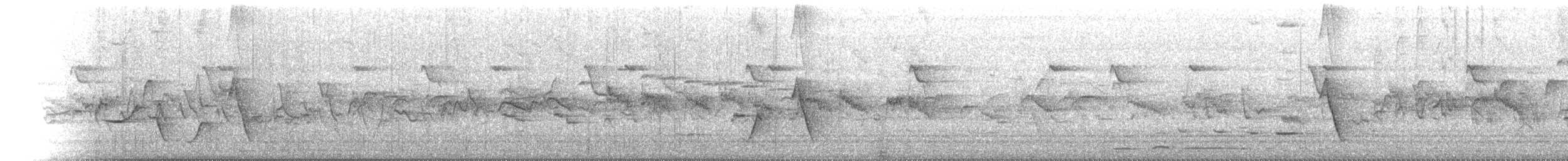 New Caledonian Whistler - ML630567202