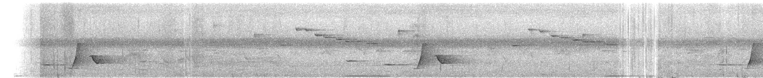 New Caledonian Whistler - ML630567206