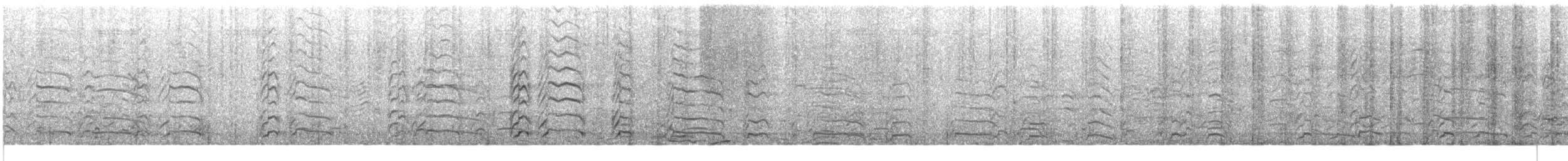 オオハシアジサシ - ML630567474