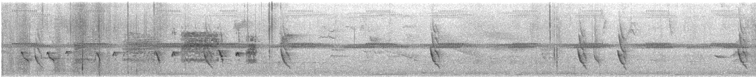 Grisin de Santa Marta - ML630567925