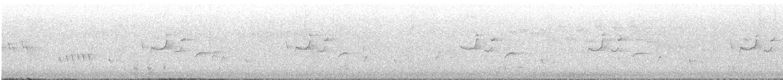 Varied Sittella - ML630576749