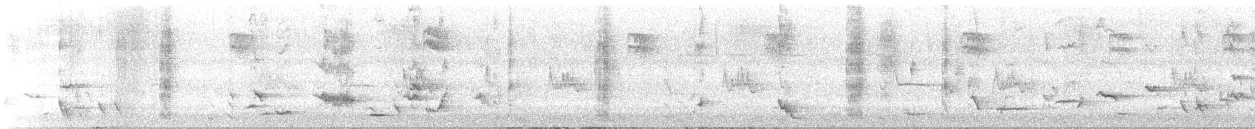 maorihonningeter - ML630578112