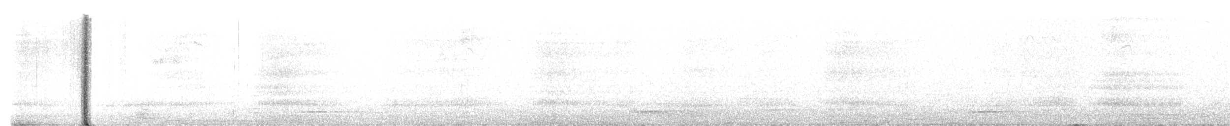 Eurasian Scops-Owl - ML630580689