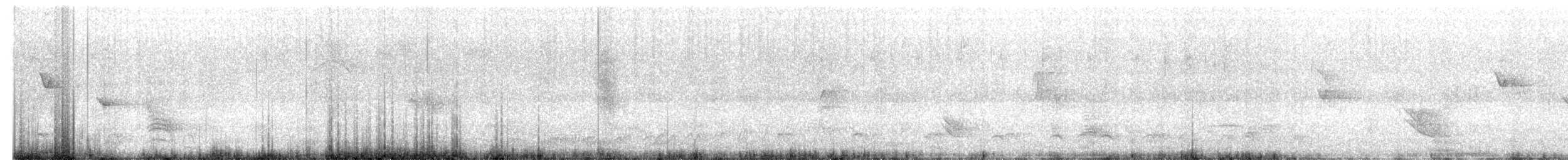 Rio Branco Antbird - ML630582741