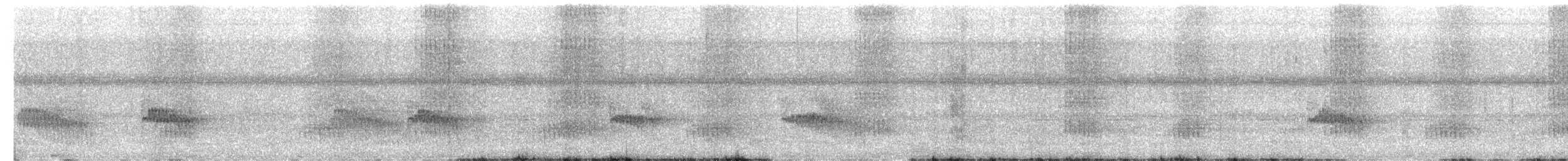 Willis's Antbird - ML630583115