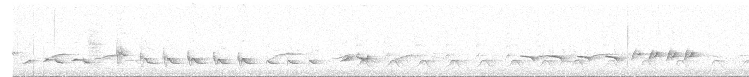 ヒガシハジロヤブコマドリ（quadrivirgata） - ML630587608