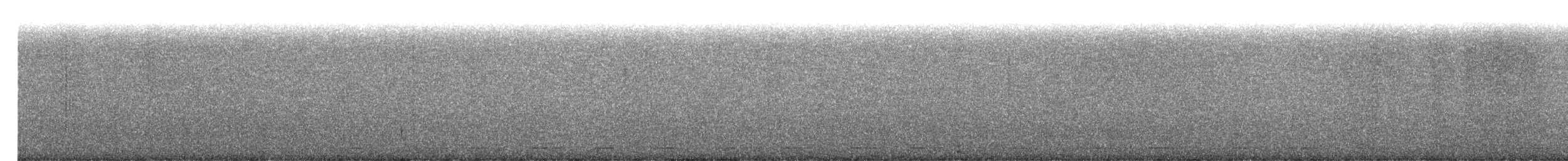 Unspotted Saw-whet Owl - ML630590558