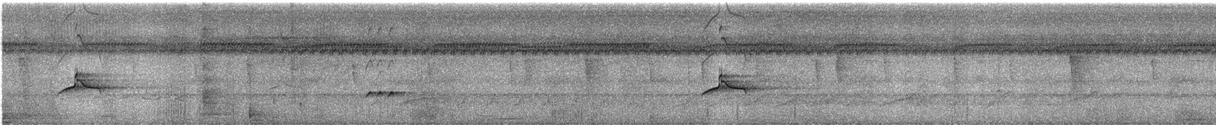 Piratic Flycatcher - ML630591123