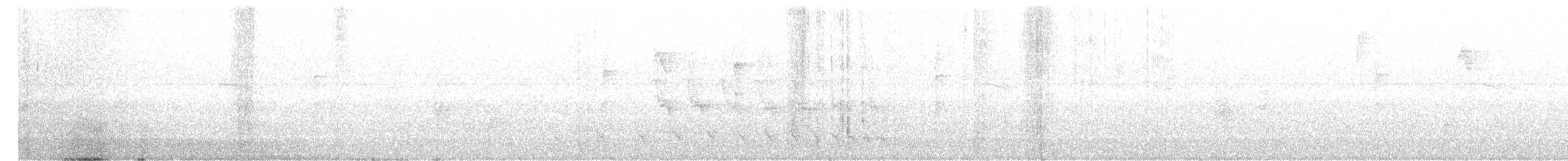 Bar-crested Antshrike - ML630593352