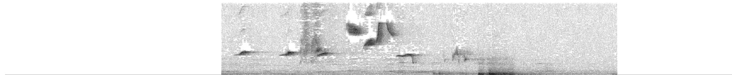 White-bellied Sholakili - ML630618663