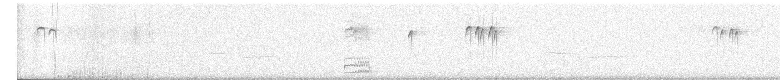 Red-bellied Woodpecker - ML630624842