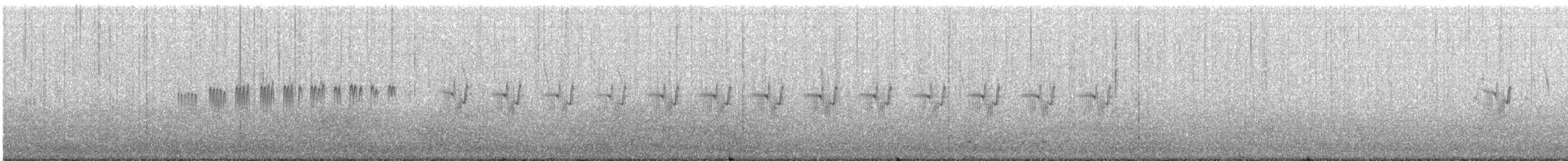 Prinia gracile - ML630625643